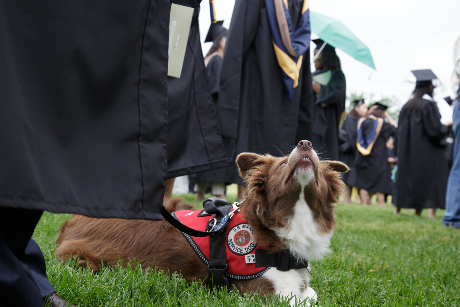 GW Commencement on The Mall 2015