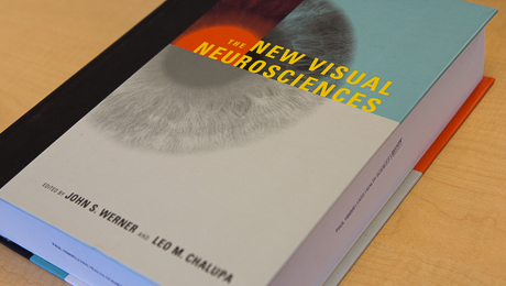 Cover of Leo Chalupa's book, The New Visual Neurosciences