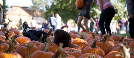 Stacks on pumpkins at Octoberfest celebration