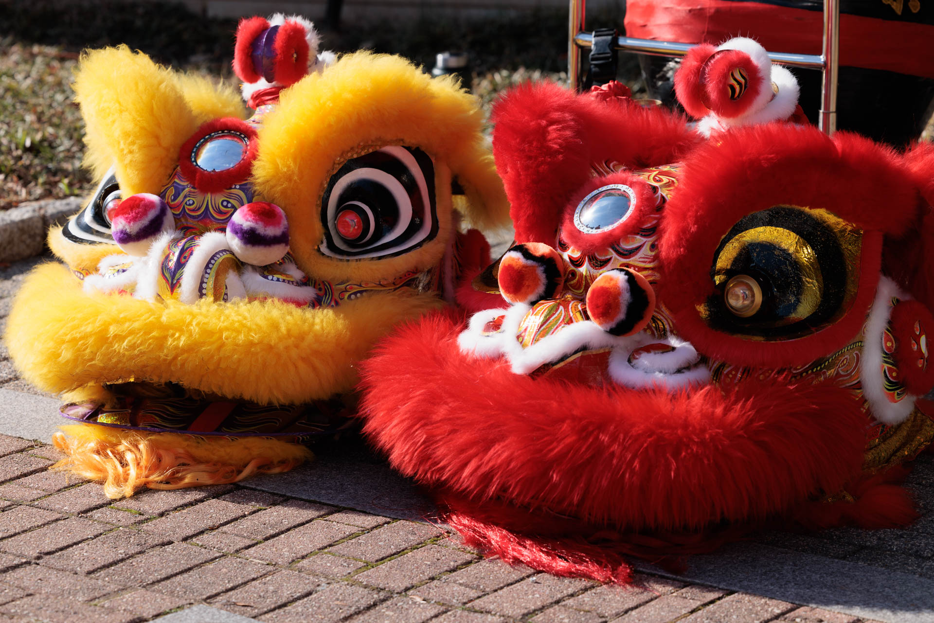 Lunar New Year 2023 LNY2023 Lion Dance costumes