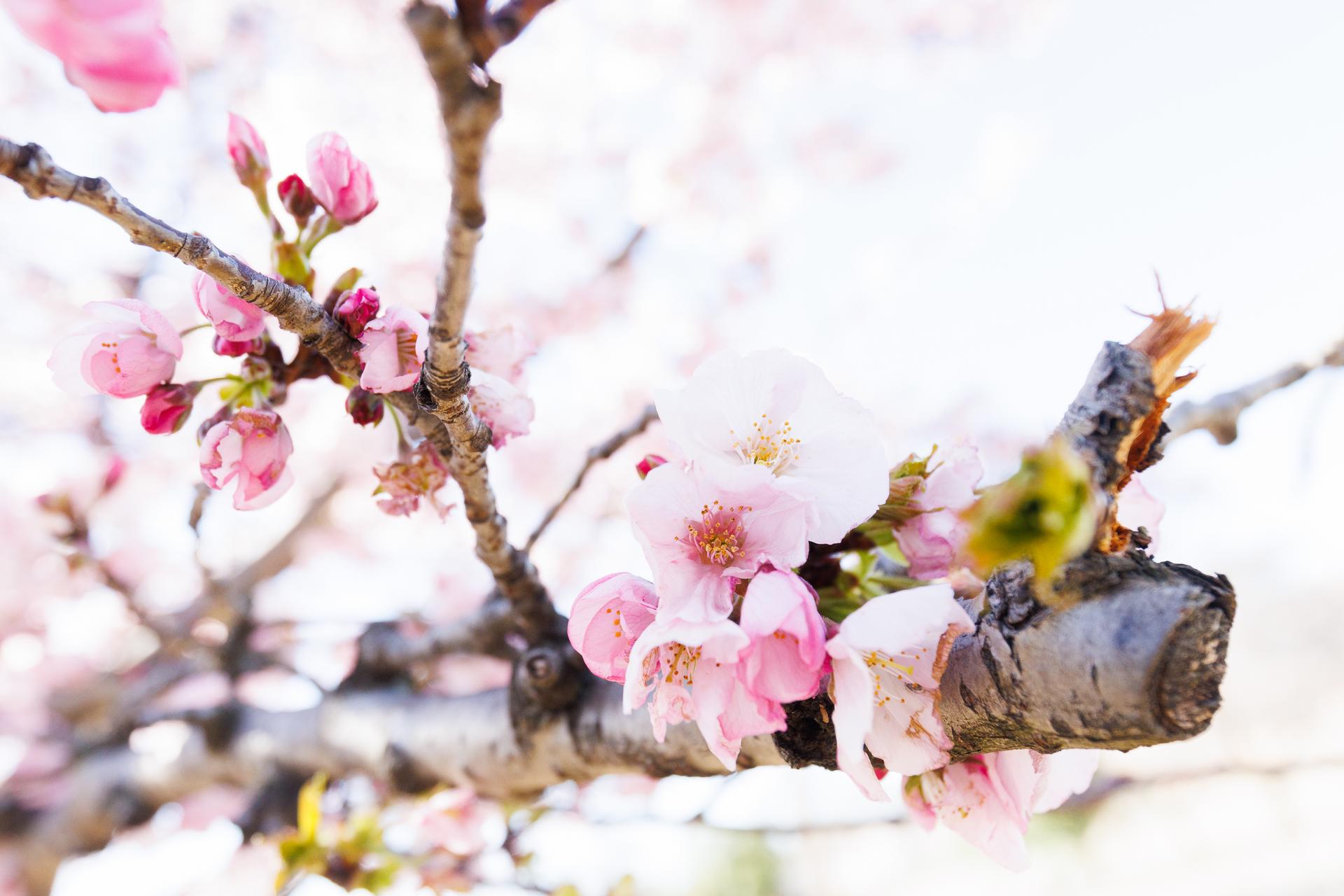 (Harrison Jones/GW Today)