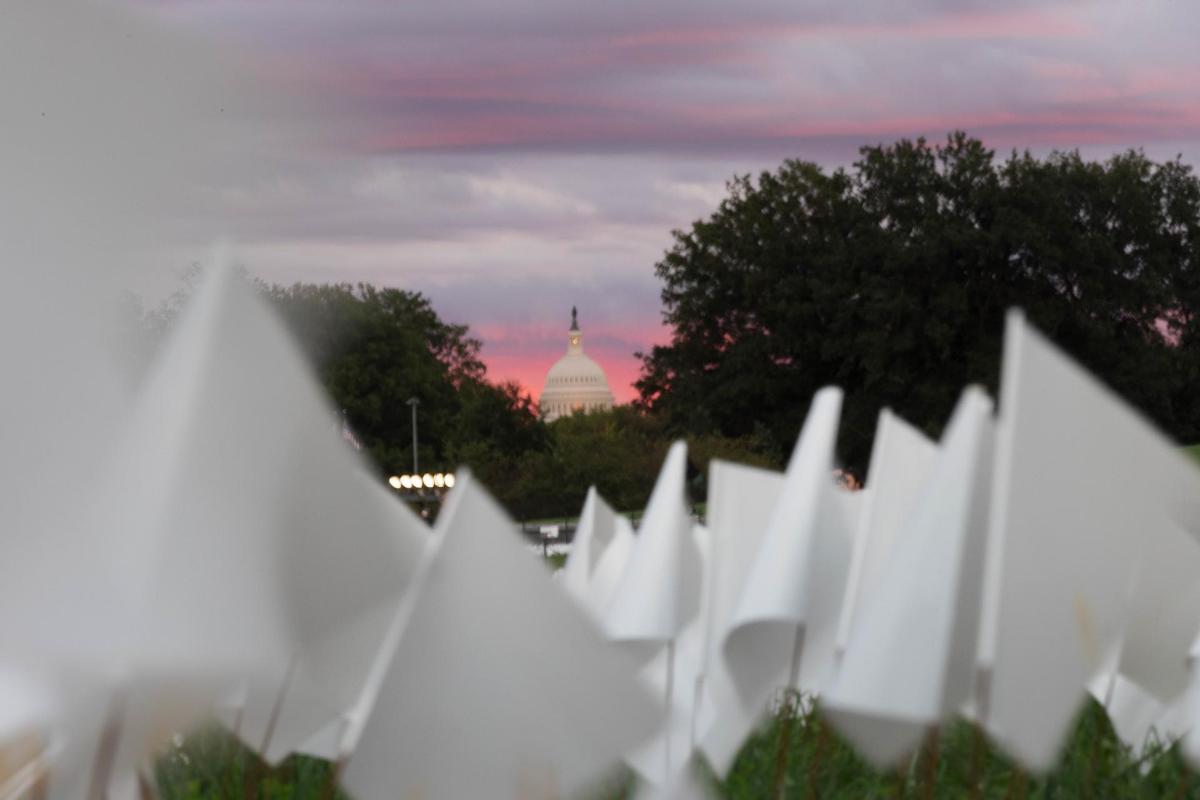 COVID memorial on National Mall in 2021 Covid memorial national mall