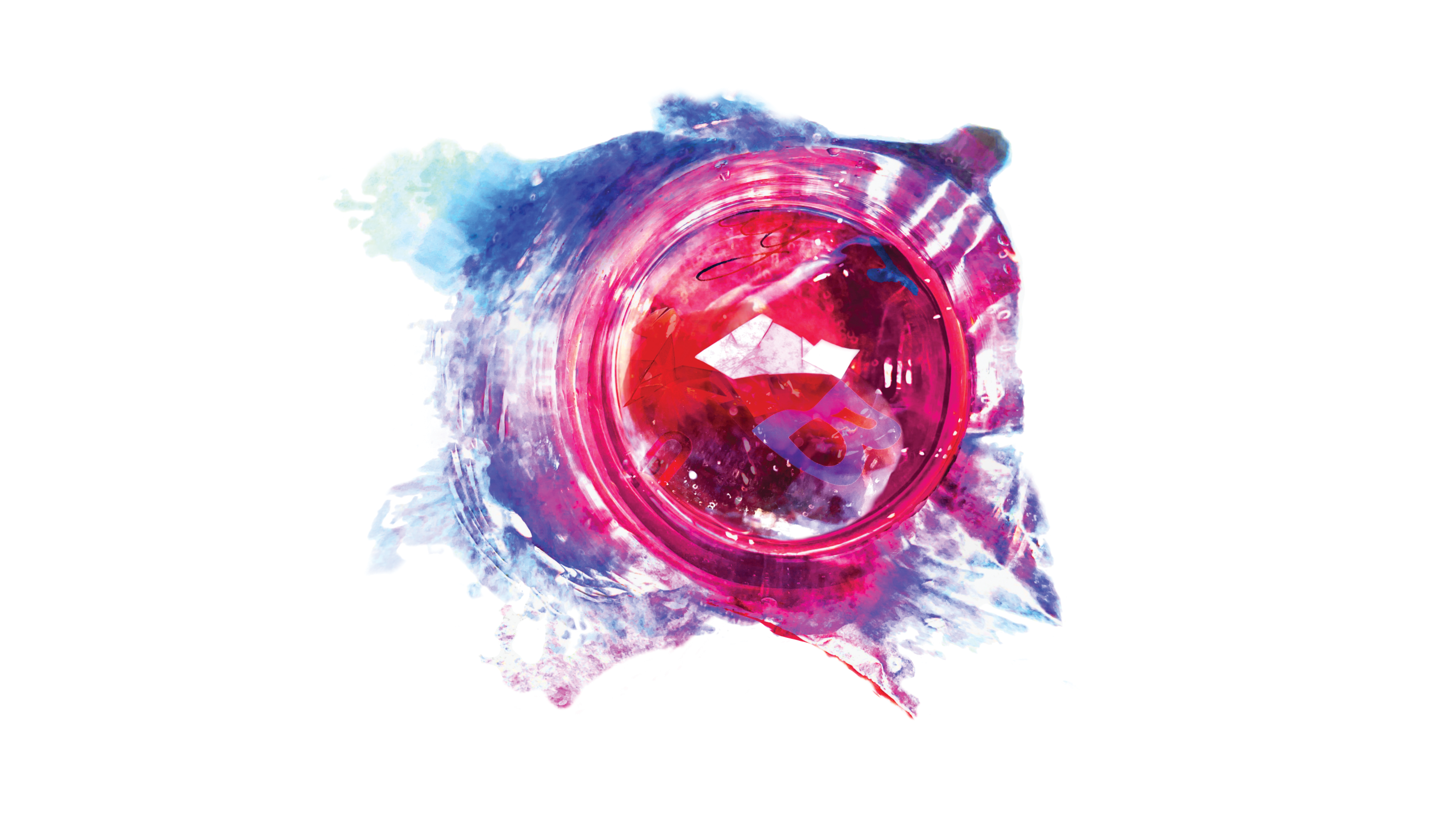 An image from Amanda Bohn's memory series