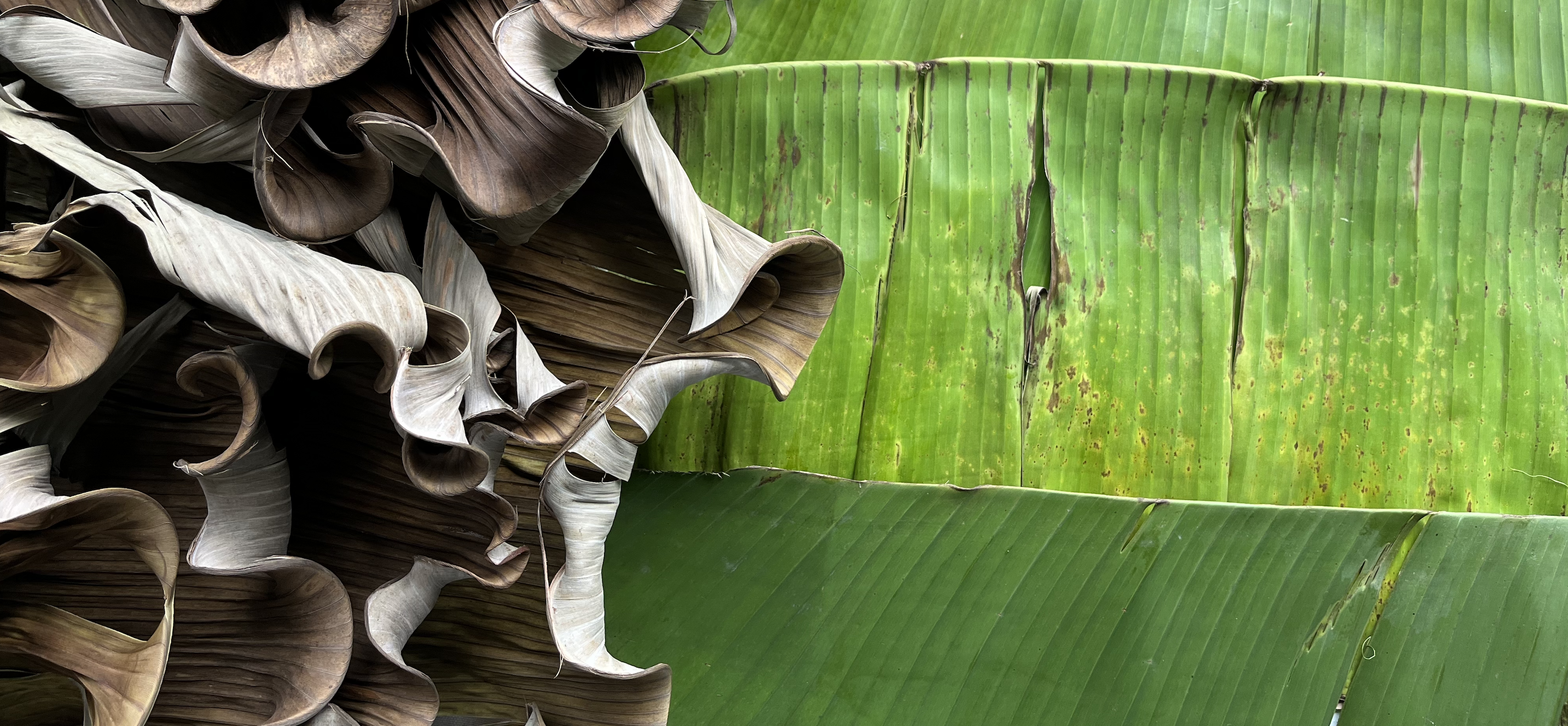 a detail of Christina Villadolid's art installation