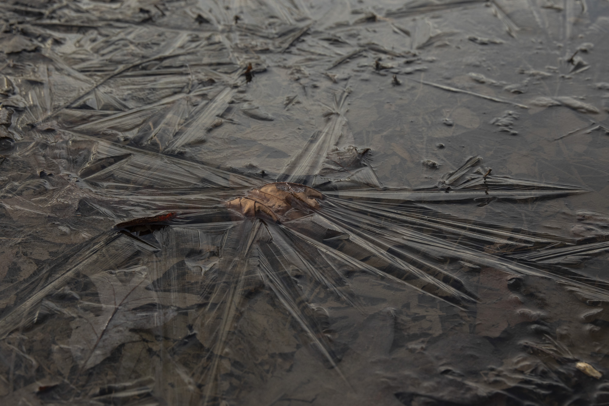 Photo by Jenna Banks from her series on her relationship with Rock Creek Park