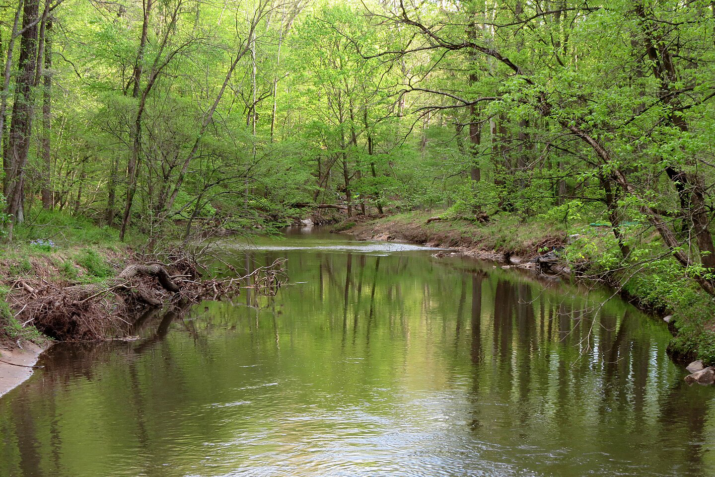 Rock Creek Park is easy to access but feels miles away from the D.C. hustle.. 
