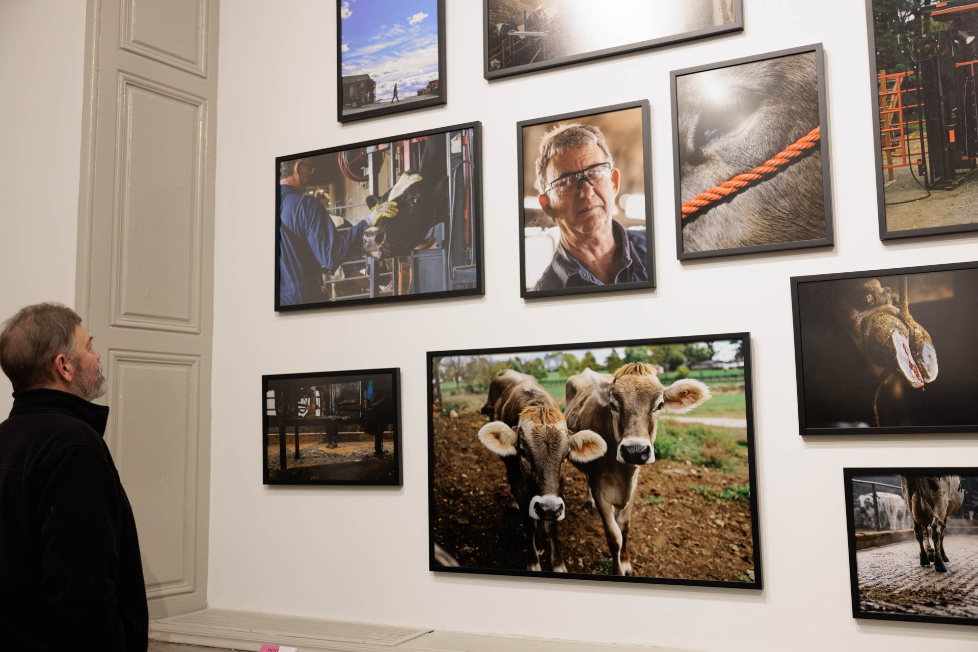 Visitor studies photo exhibit at NEXT