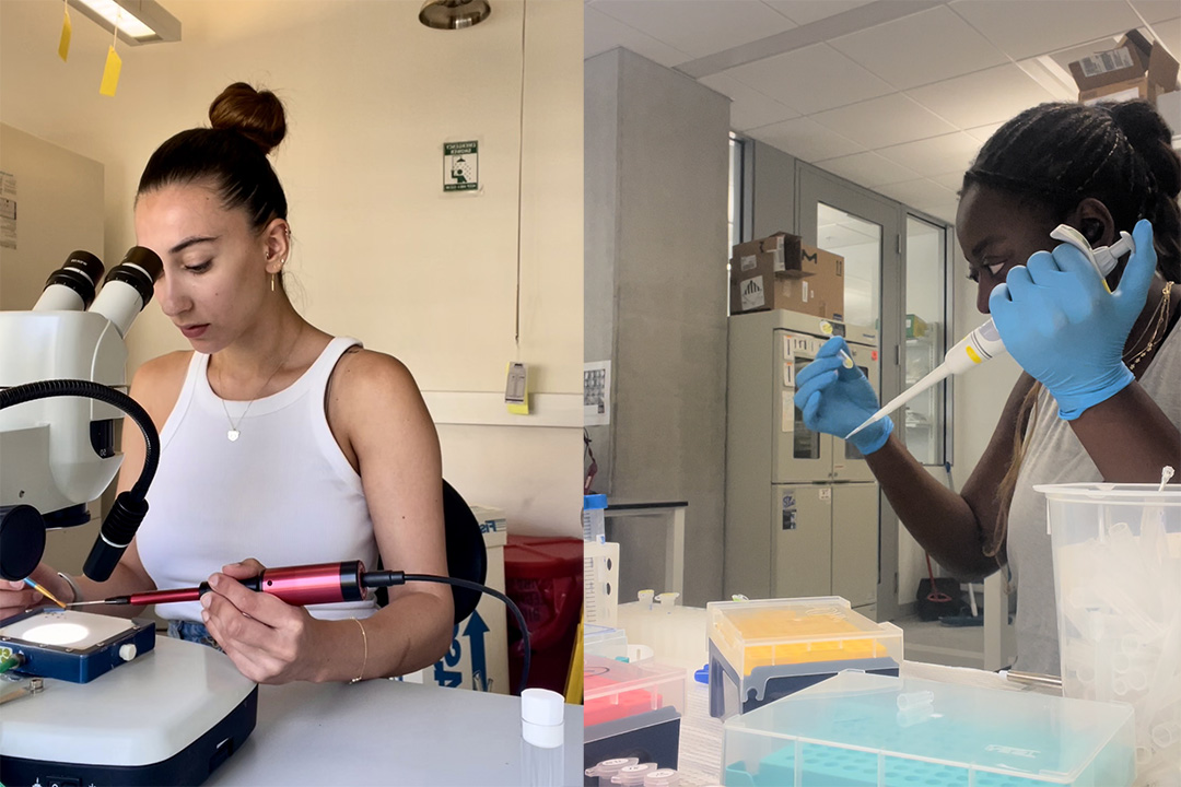 On the left, student Margarita Kyza-Karavioti in a white t shirt looks into a microscope in a lab. On the right, student Martina Tsimba in a white shirt & blue gloves holds a syringe & a specimen vial in a lab.