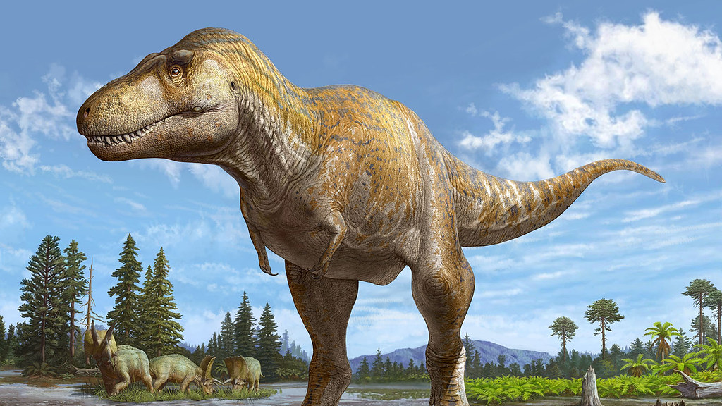 T. Rex Reunion New Discovery Grows Dinosaur Family Tree GW Today