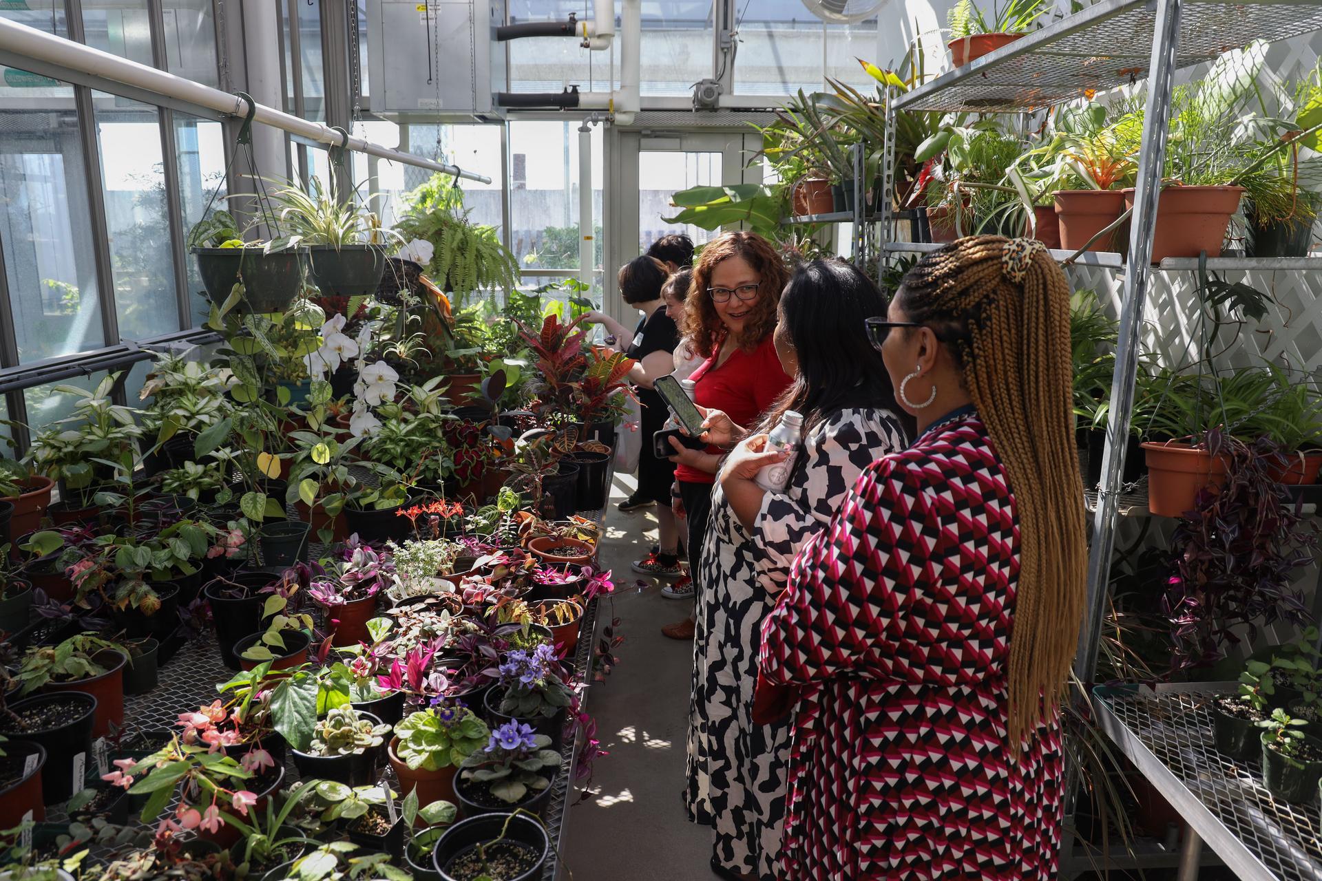 GW's Harlan Greenhouse was among the Science and Engineering Hall locations open for tours at last week's Research Showcase. (Lily Speredelozzi/GW Today)