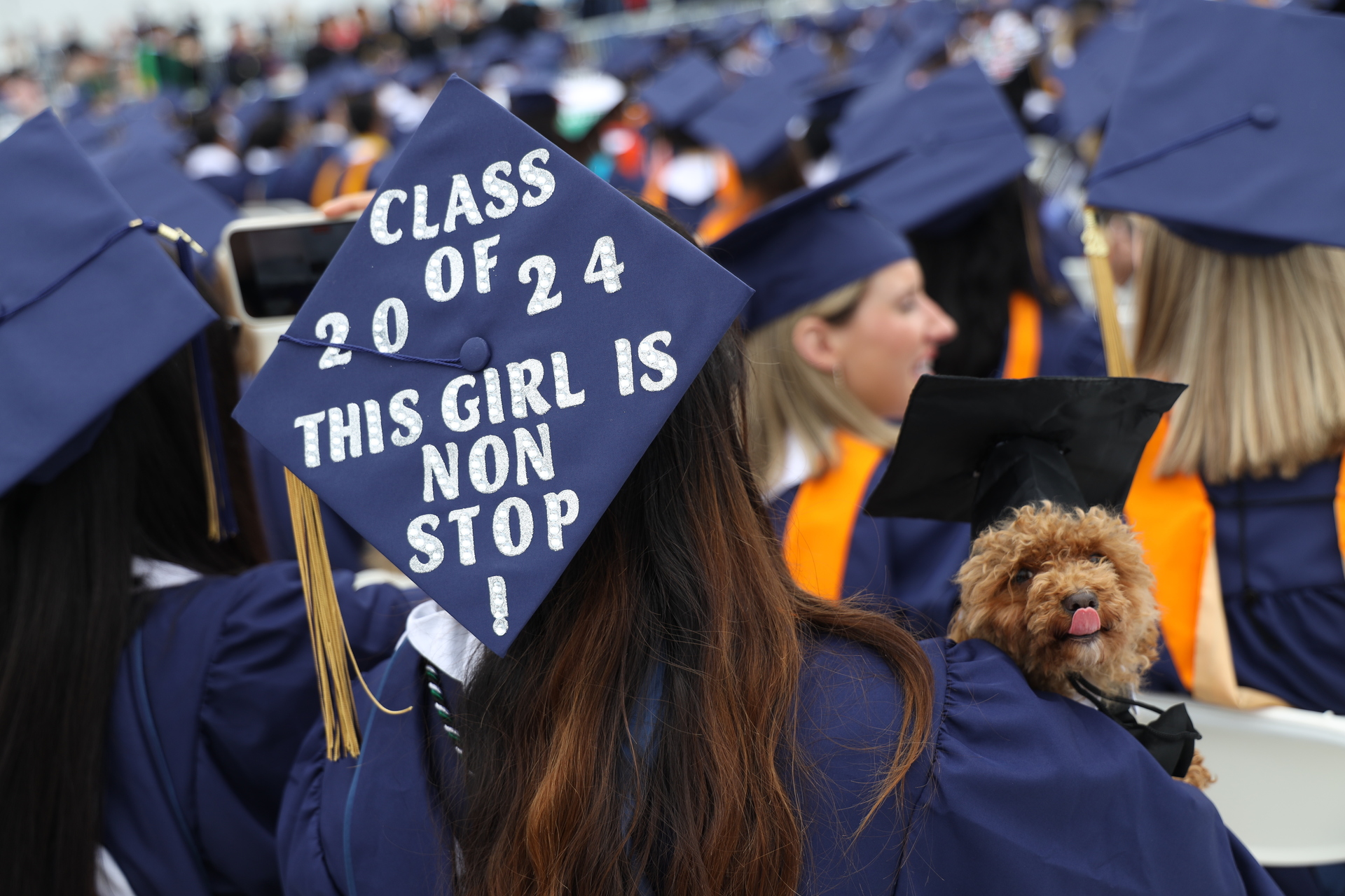 Girl with cap that says Class of 2024, this girl is non stop holding a golden doodle