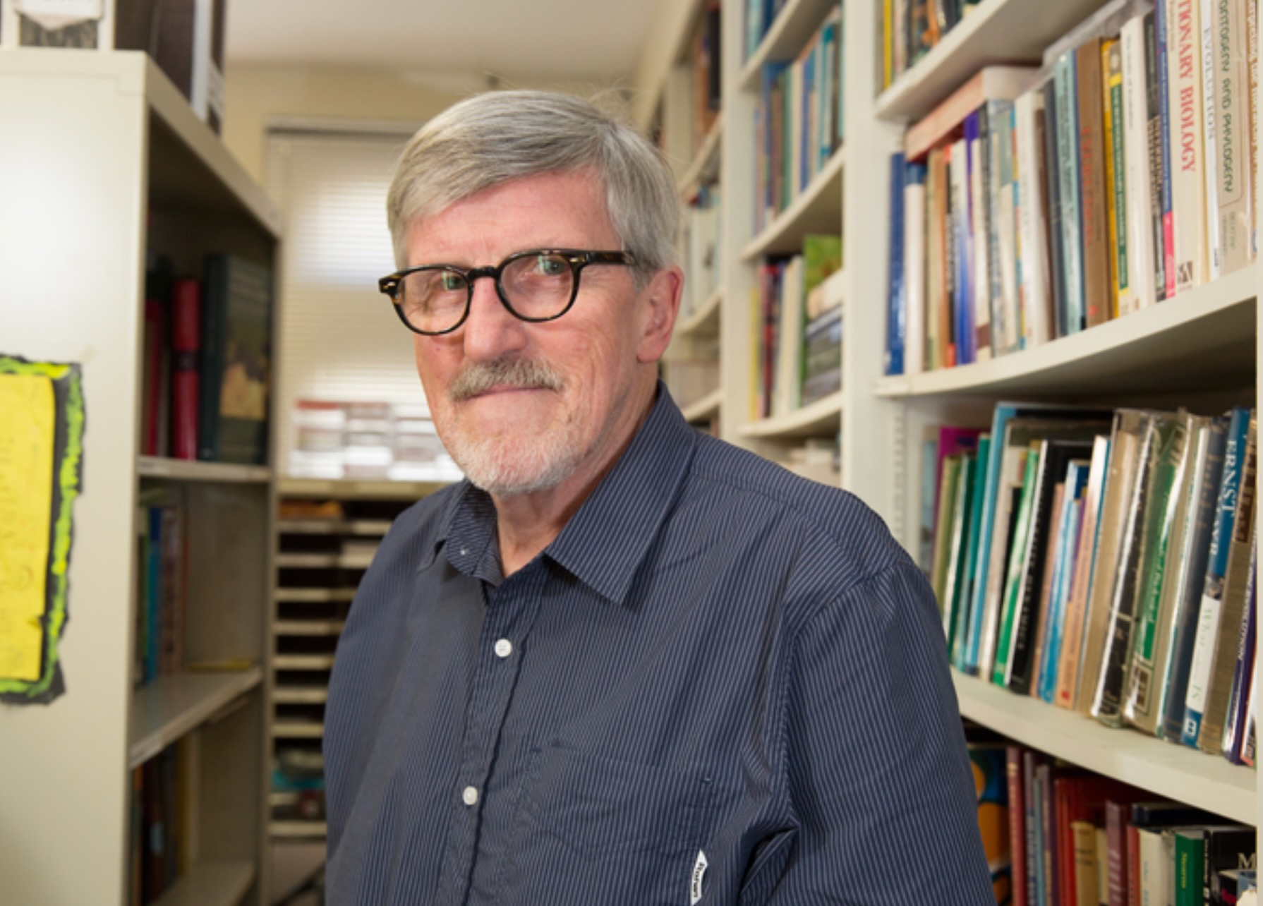 Bernard Wood