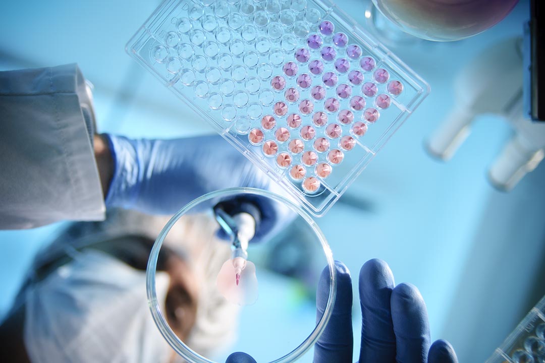 Stock image of lab work