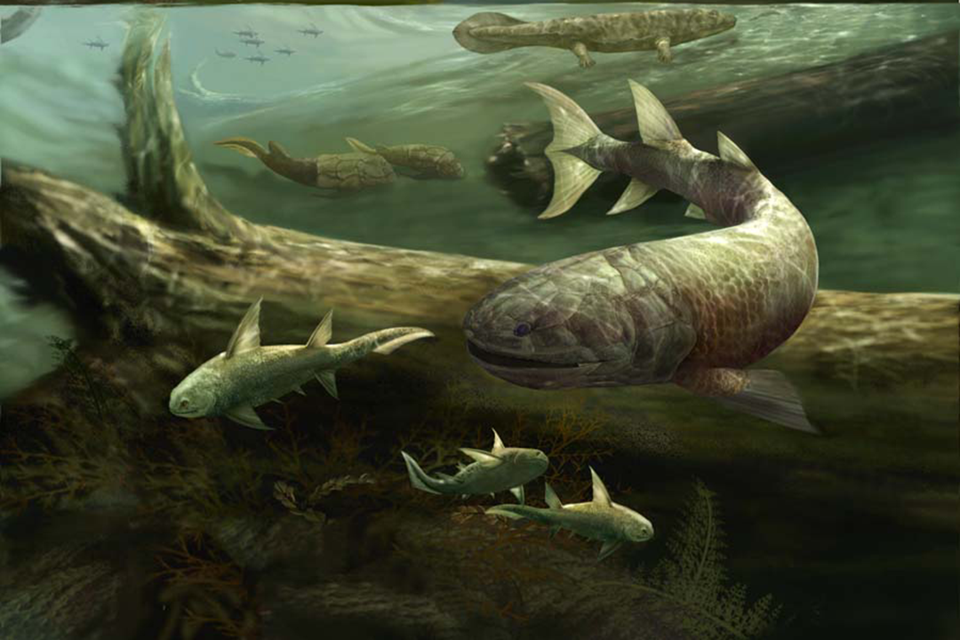 Illustration of early tetrapods and tetrapod-like fishes in the water