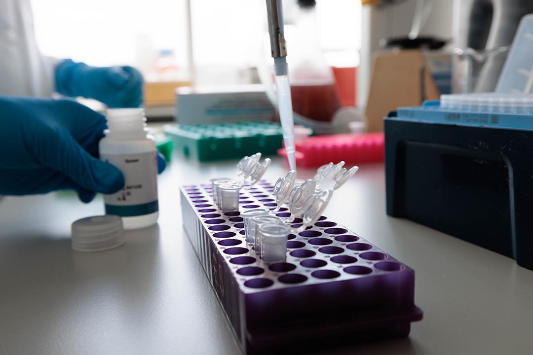 medical lab