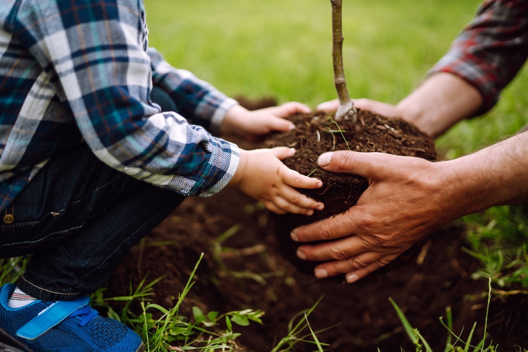 A father an young son garden together