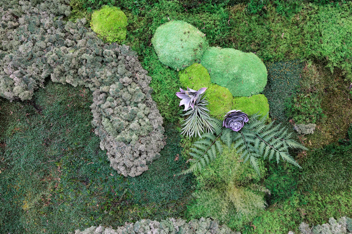 detail of moss wall in USC