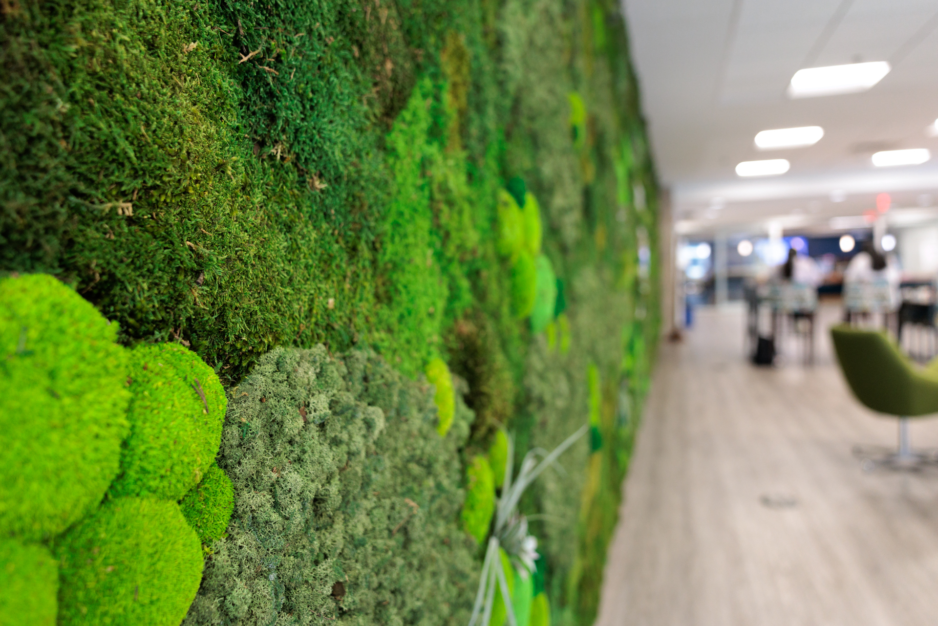 moss wall on floor 5 of USC