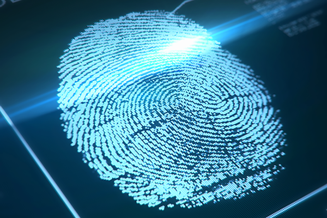 Blue Fingerprint 2