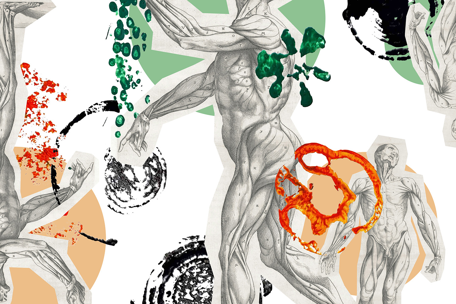 For this collage on a nutrition theme, Isabella Kim used vegetable slices as stamps