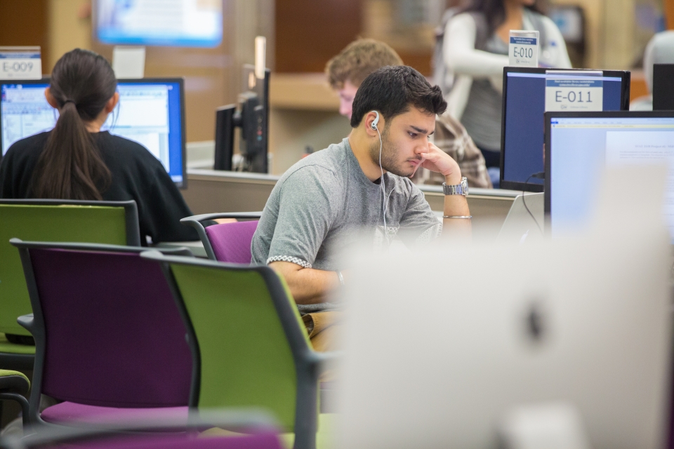 Students in library studying