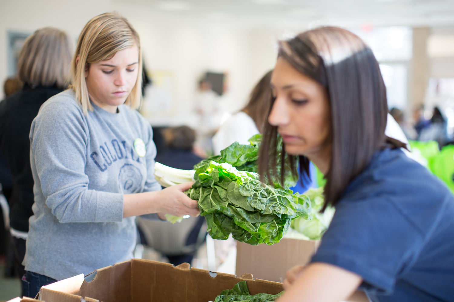 Students and staff representing GW filled bags with produce at the Pop-Up Market.