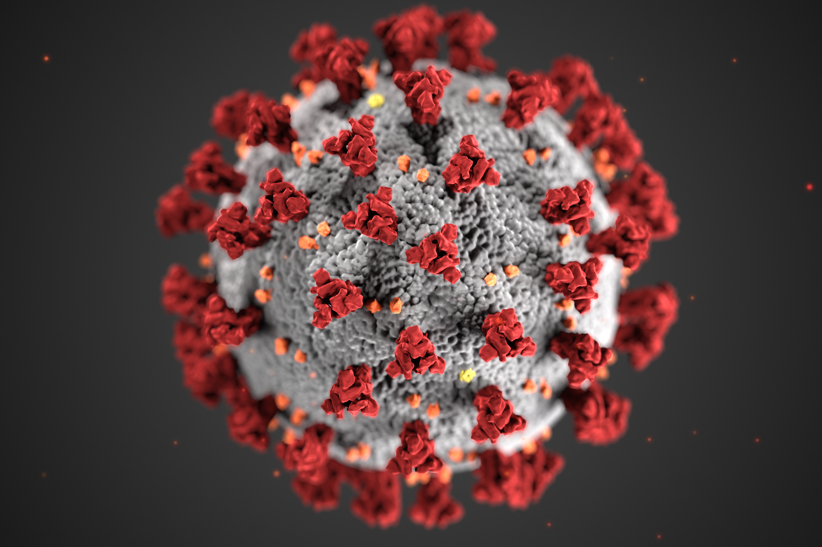 Illustration of a coronavirus created by the Centers for Disease Control and Prevention (courtesy CDC)