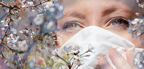 Allergies 