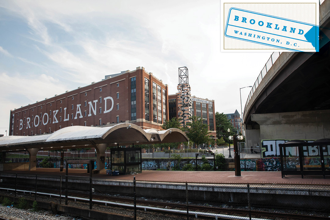 Getting to Know the DMV: Brookland (Brookland mural)