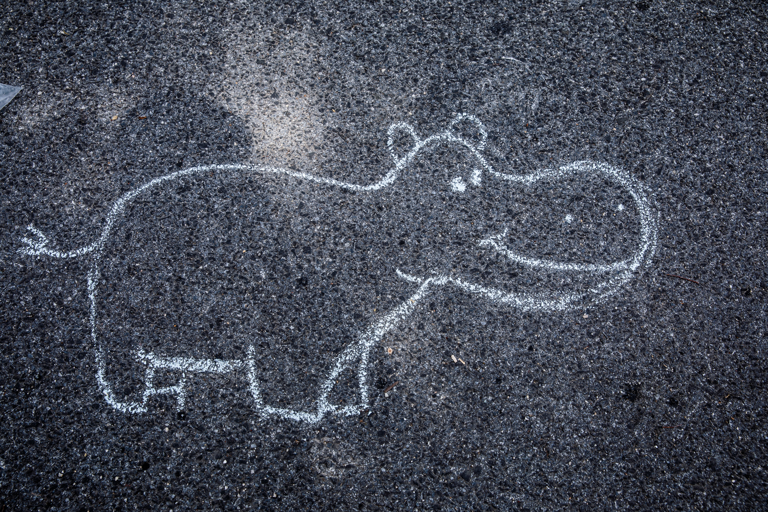 Chalk-In 2019