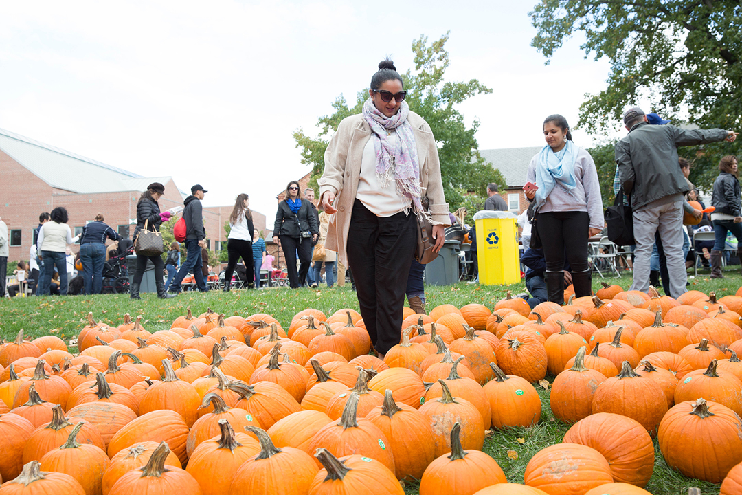 Colonials Weekend 2015 Gallery