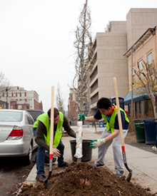 two people in safety vests planting a tree on the side of a street