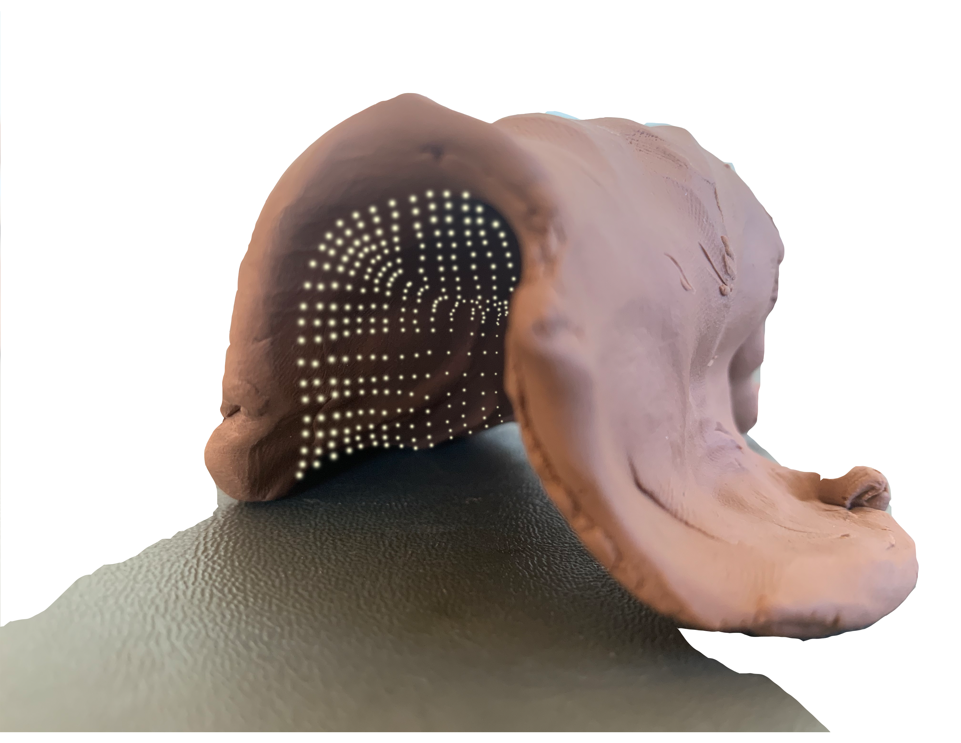 Image of arched organic-looking tunnel