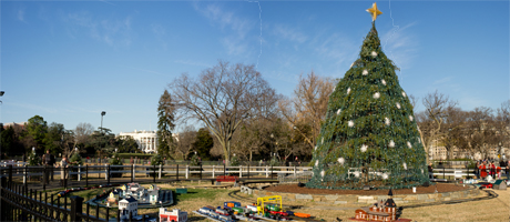 National Christmas Tree on National Mall