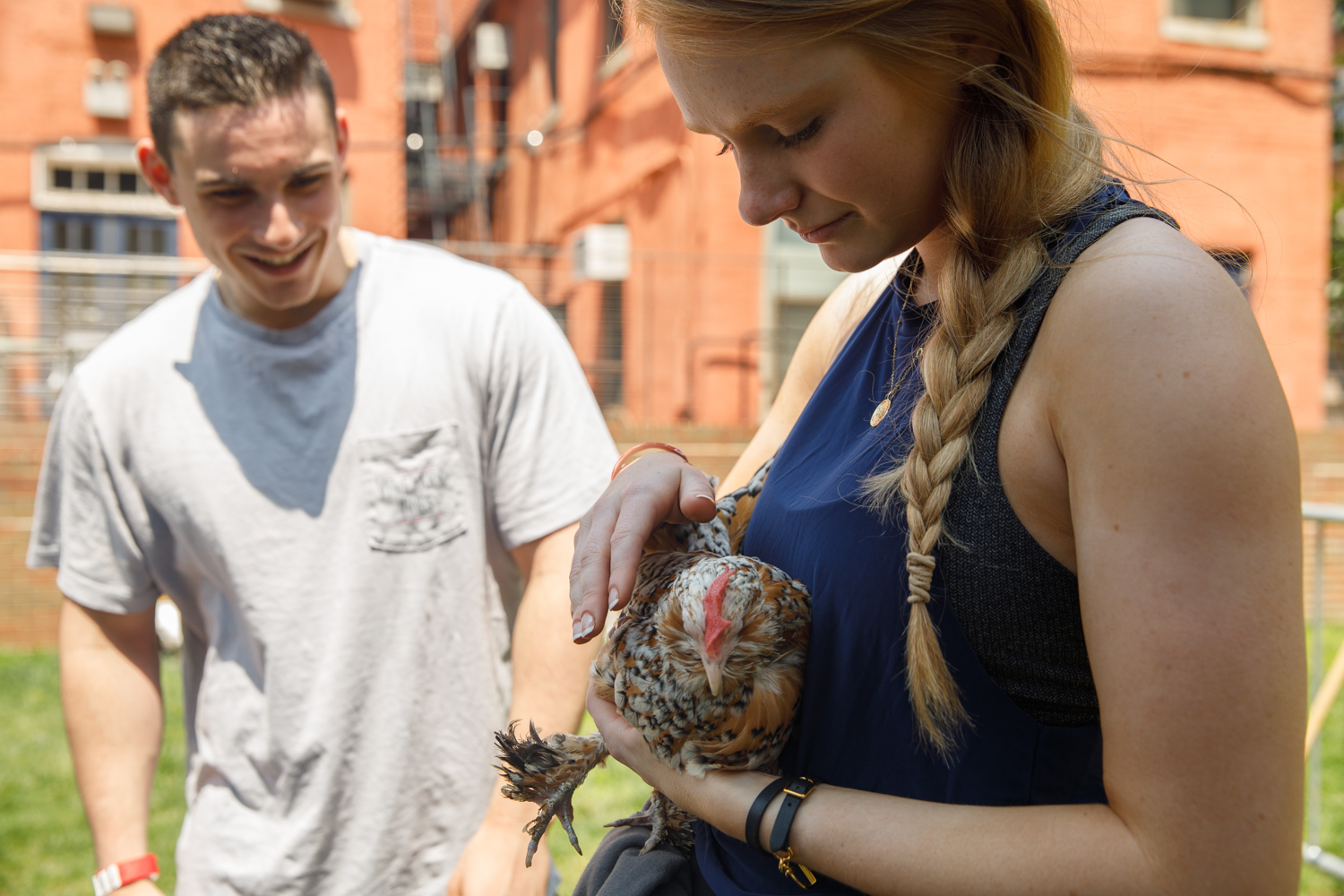 Petting Zoo 2019