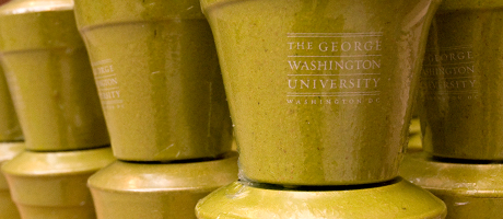The George Washington University flower pots stacked on top of each other in columns