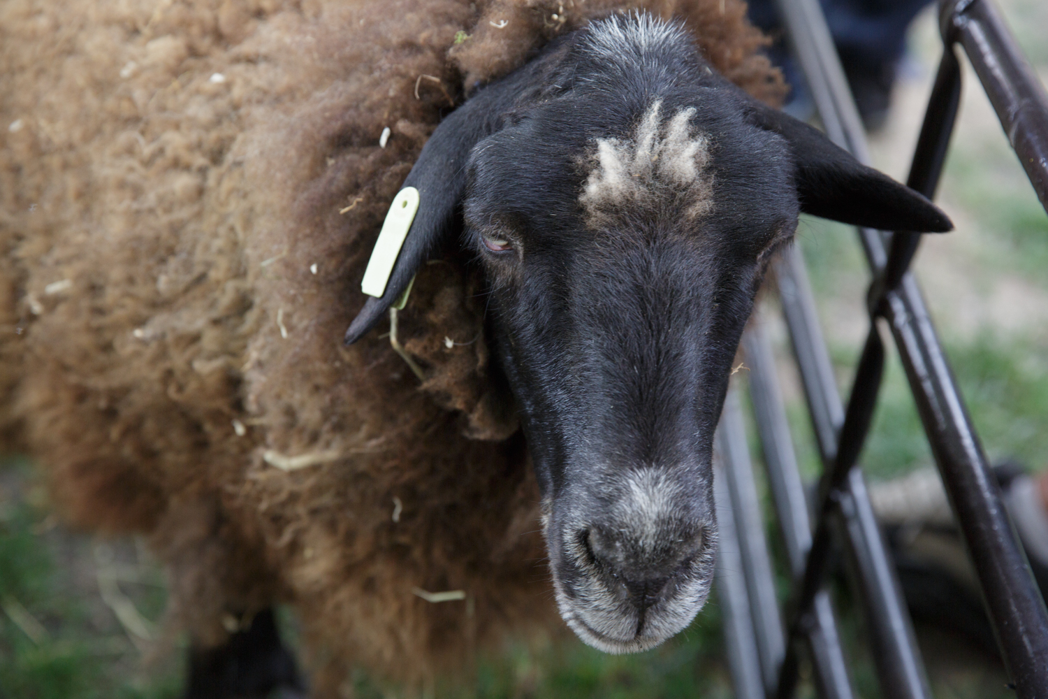 World of Textiles at GW