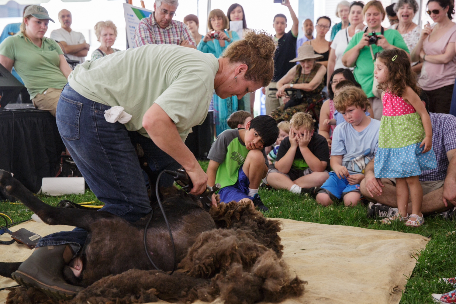 World of Textiles at GW
