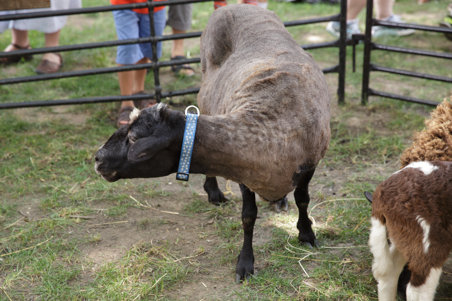 World of Textiles at GW