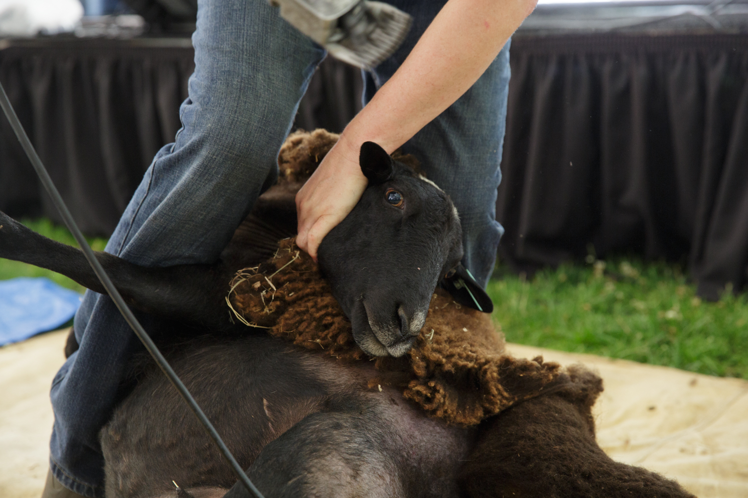 World of Textiles at GW