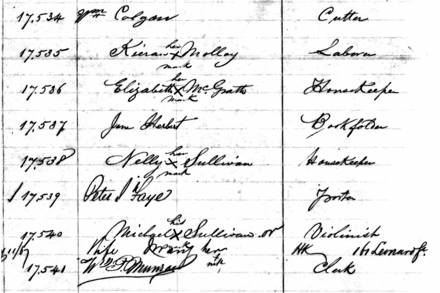 A record from the Emigrant Savings Bank shows the names and occupations of depositors, including Peter J. Faye. 