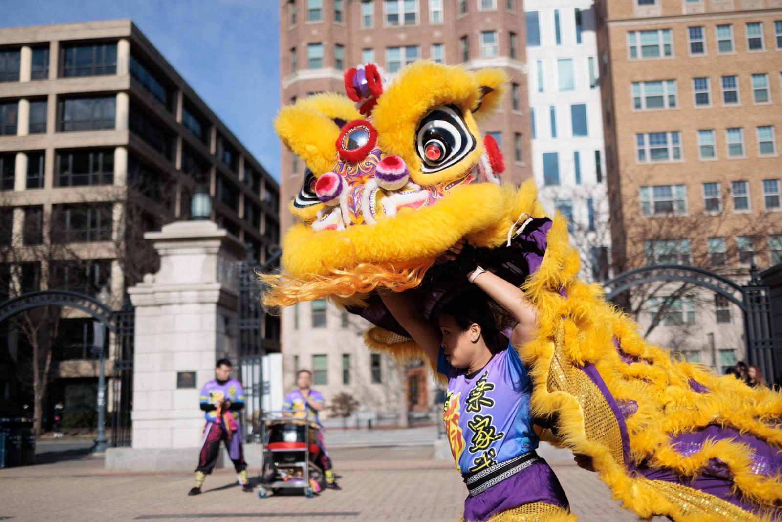 Lion dancer on Kogan plaza