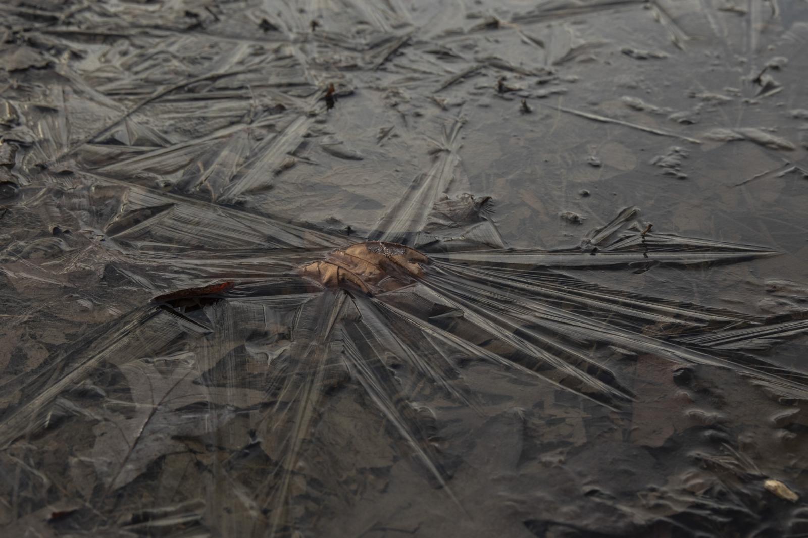 Photo by Jenna Banks from her series on her relationship with Rock Creek Park