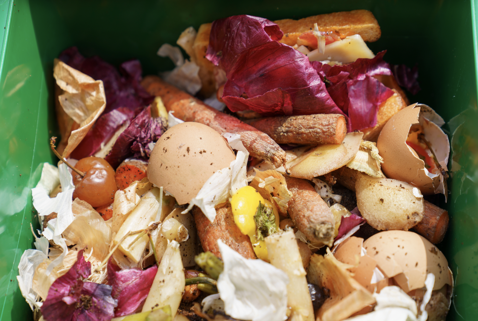 Food waste in a composting bin