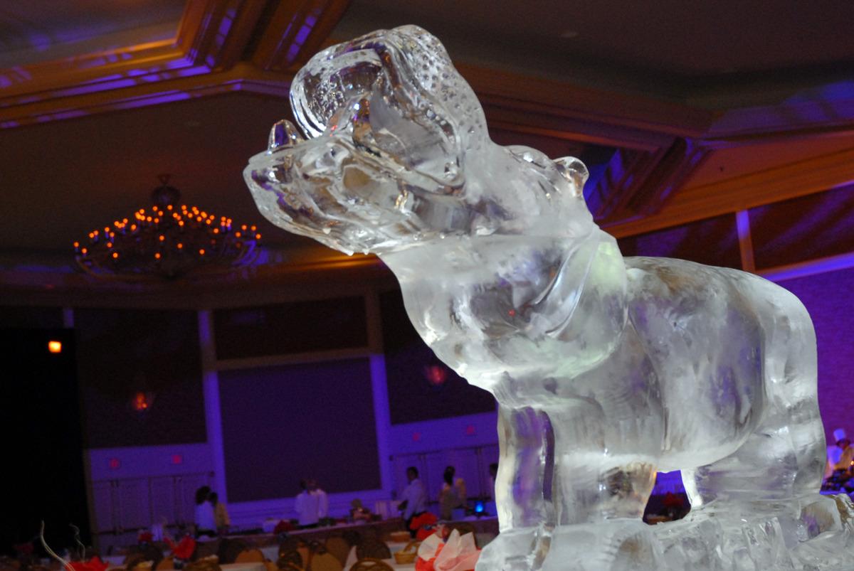 Inaugural Ball gallery