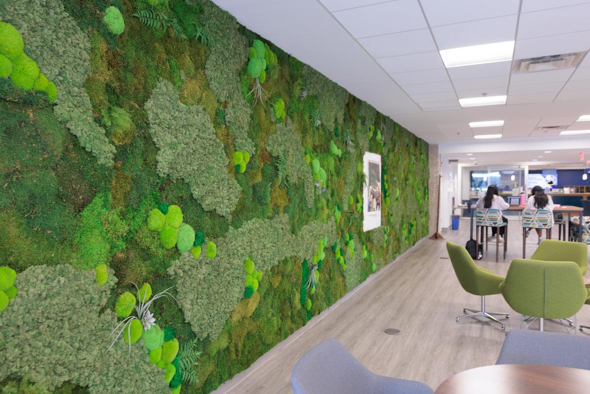 Green moss wall on the University Student Center's fifth floor