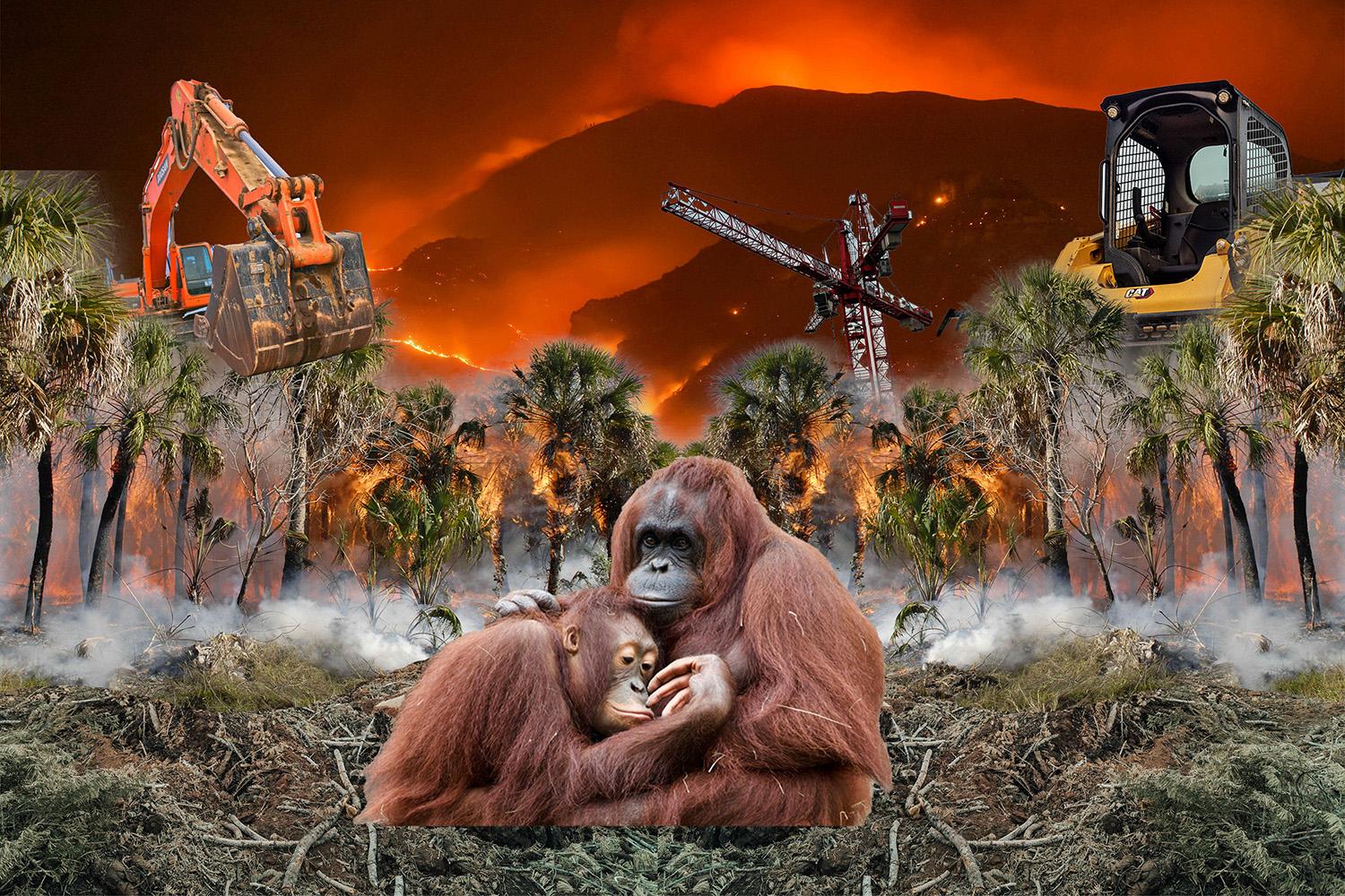 Martin Maynard created this collage on an orangutan theme