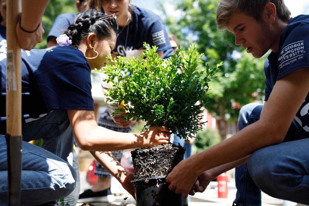 Welcome Day of Service 2019 