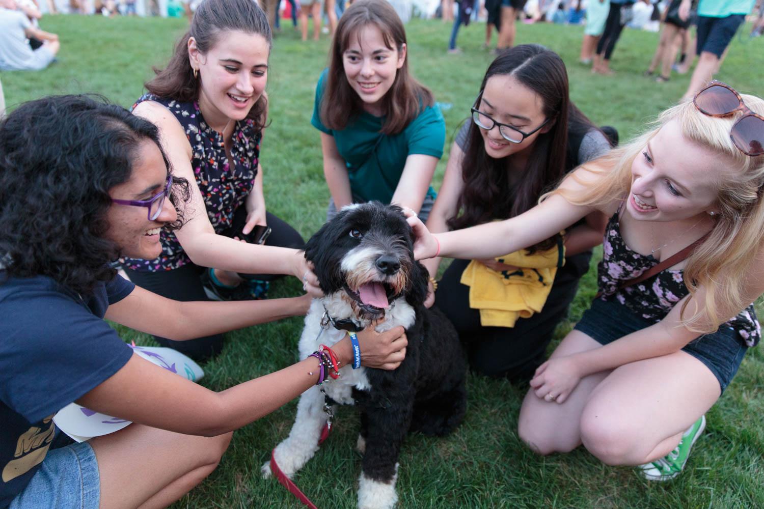 GW students take a "puppy break" on the lawn of Mount Vernon.