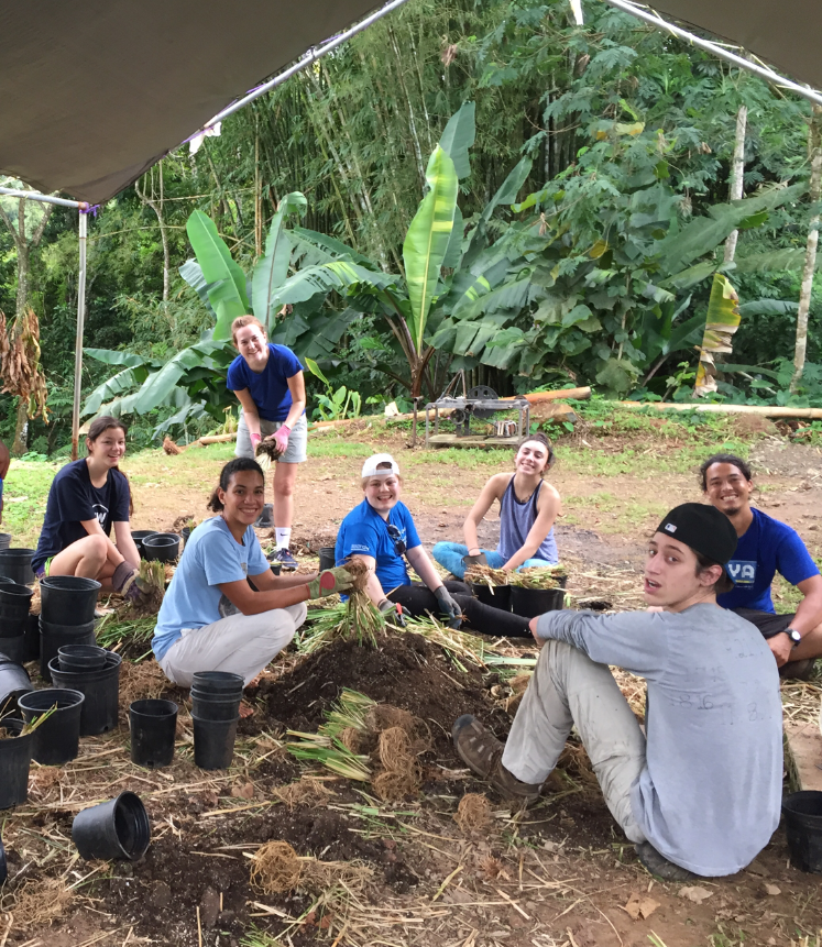 alternative break seven